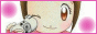 Gatomons-World-2002.gif