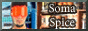 somaspice-store.gif