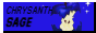 chrysanthsage-button-88x31.gif
