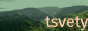 tsvety88x31.png