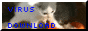 pandil.gif