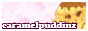 caramelpuddinz-button.gif