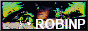 robin88.jpg