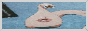 button.gif