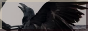 dn1wgg.png