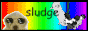 sludgexp.gif
