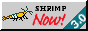 smallyellowrilim.png