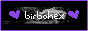 birbohexbutton.png