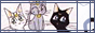 cats.gif
