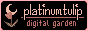 platinumtulip.gif