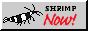 bigblackcrystalf.png