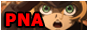 pnnamerica.png