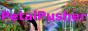 nature-bounty.png
