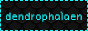 dendrophalaen.png