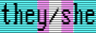 pronoun-vga-they-she-trans.png