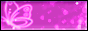 button-dbutterfly-2.png
