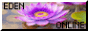 eden-online_2.png