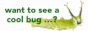 banjosbug.gif
