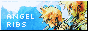 angelribs.png