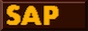 sap.jpeg