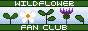 corvidae-banner2b.png