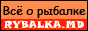 88x31x2.gif