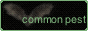 common-pest.gif