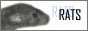 IMG_1787.gif