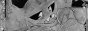VJpaQTv.gif