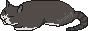 cherished-cat.png